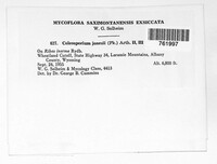 Image Associated With the Occurence